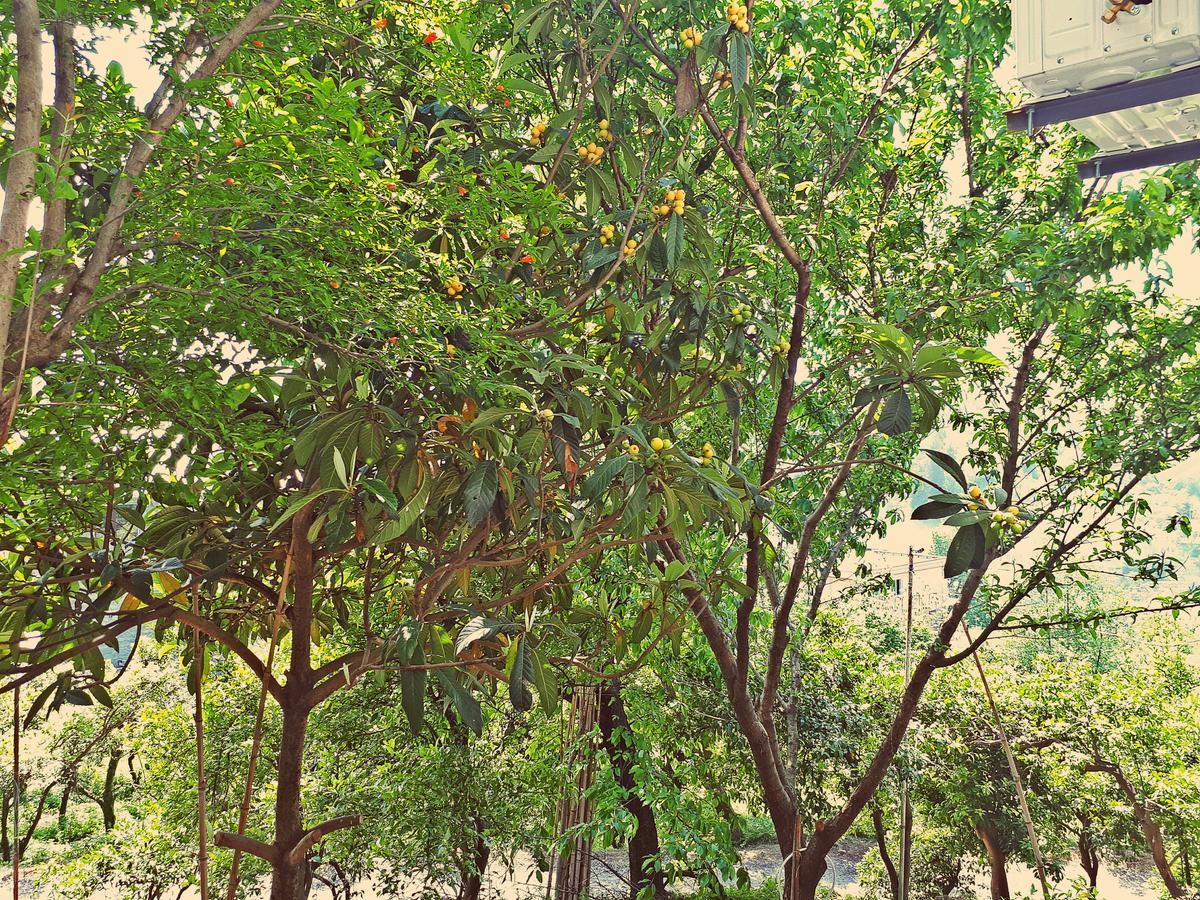 Apartments Sunset Paradise Makhinjauri Luaran gambar